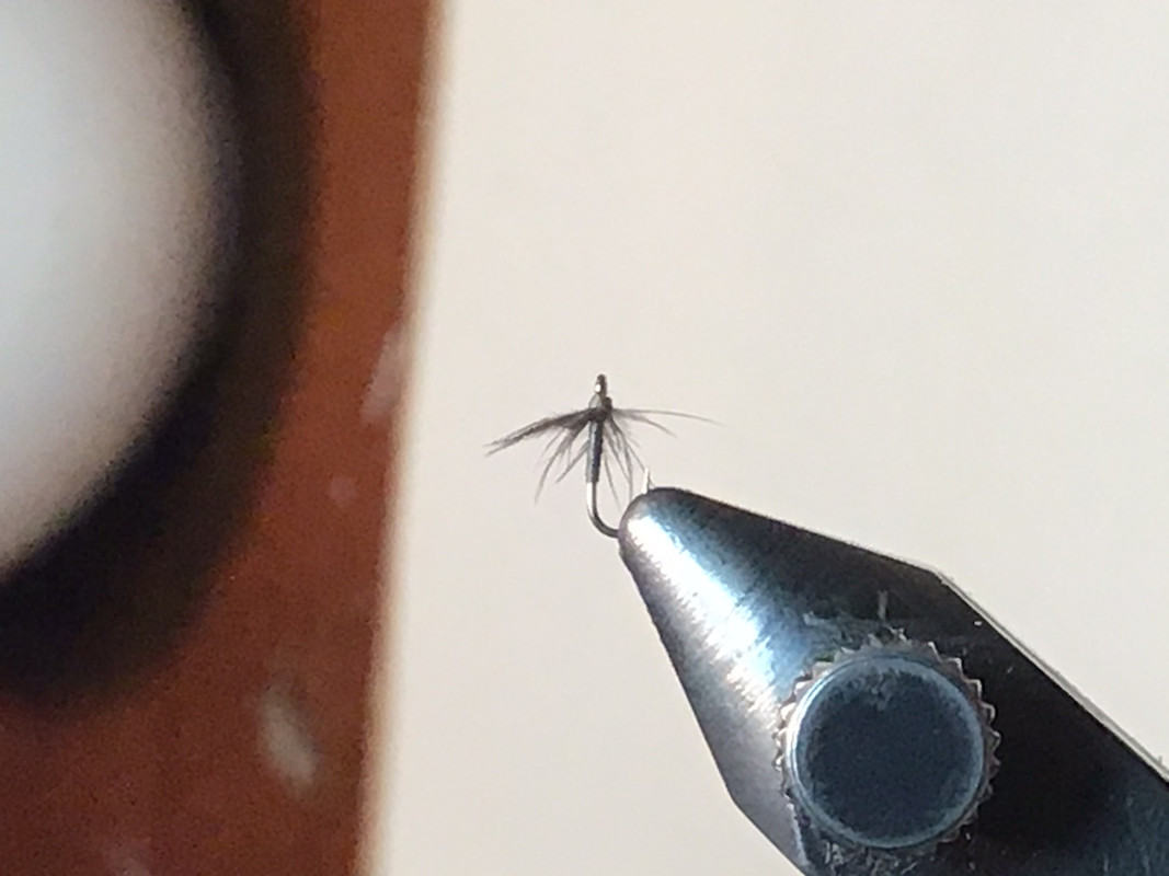 223DE78E-4BBB-48CE-9E36-B598426FA80D