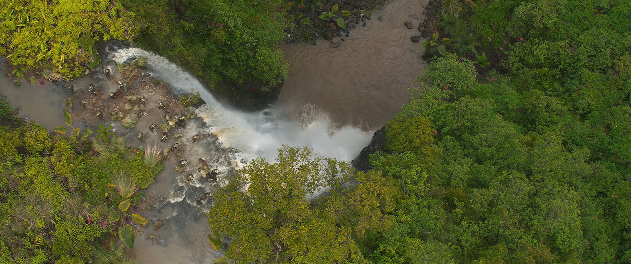 [HR] Jungle Cruise (2021) [9DAB4B2B]_01