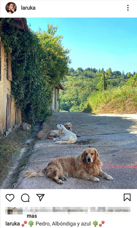 Screenshot_20210926_191454