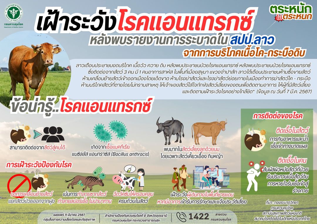 เฝ้าระวังโรคแอนแทรกซ์