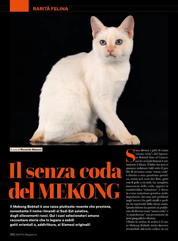 Ga Ma Ago-Set 2024 (9)