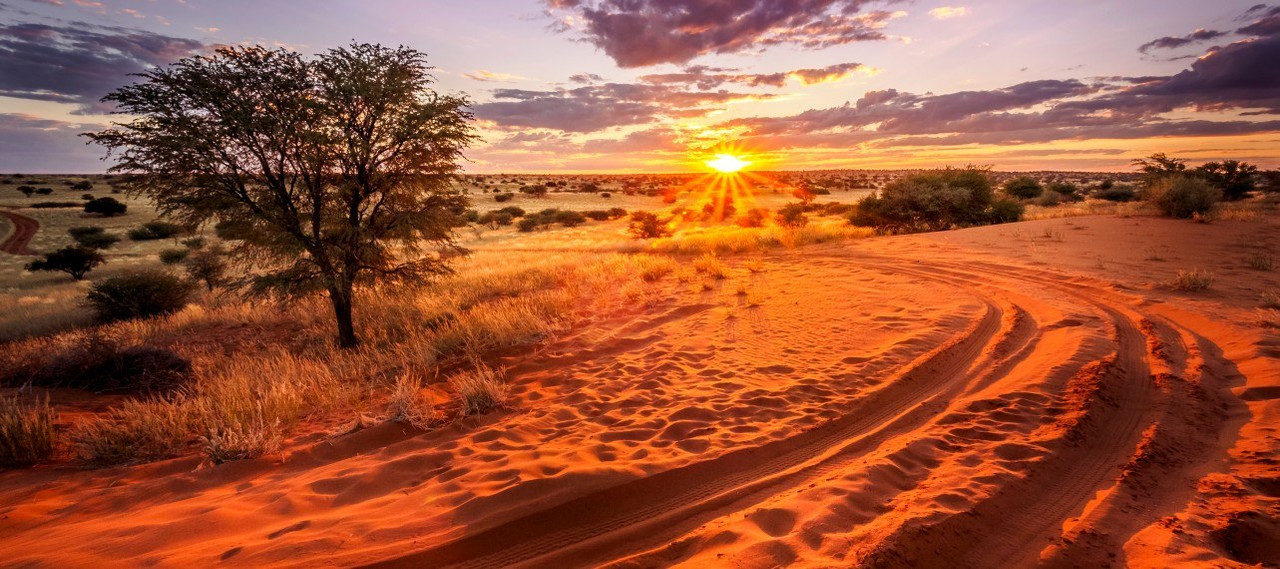 Kalahari Desert