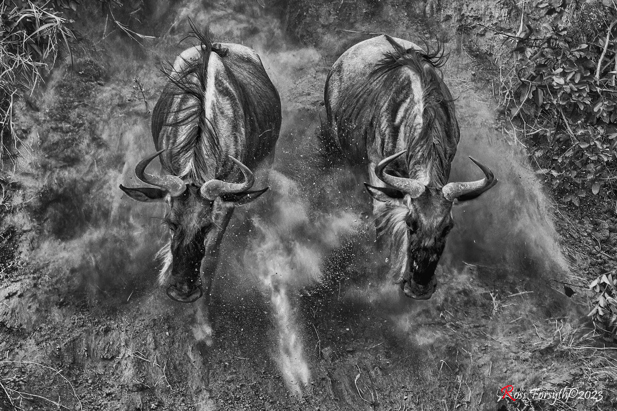 _5RF1408-CR3_DxO_DeepPRIMEXD