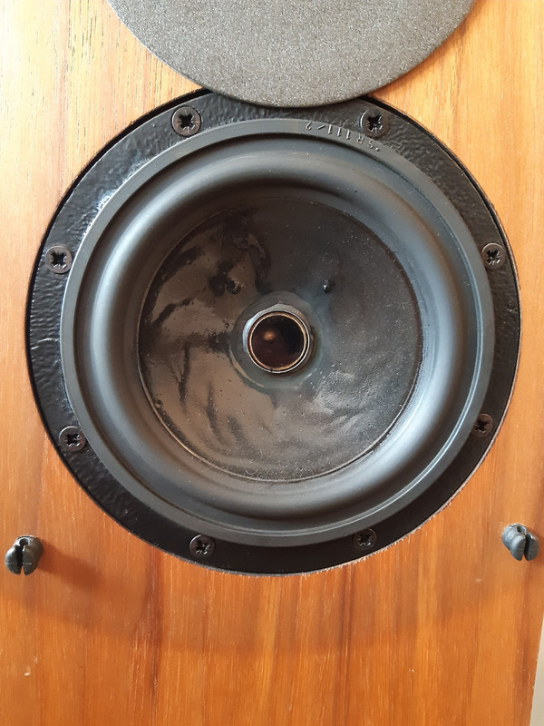 17 RH Lower