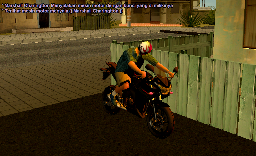 SS-10.png