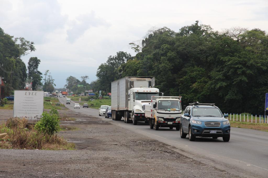 DIA 2: LLEGADA A TORTUGUERO - DE TORTUGAS Y PEREZOSOS. COSTA RICA 2019 (4)