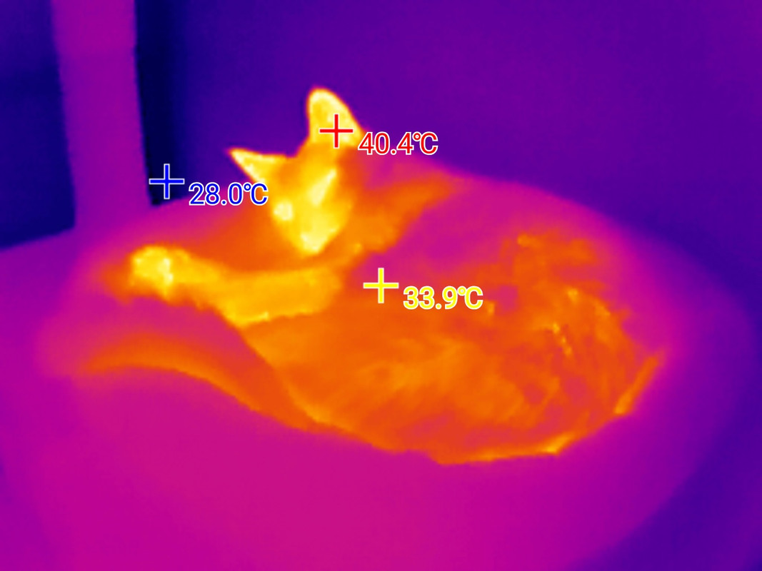 2025-03-24-23-54-52-f0f65