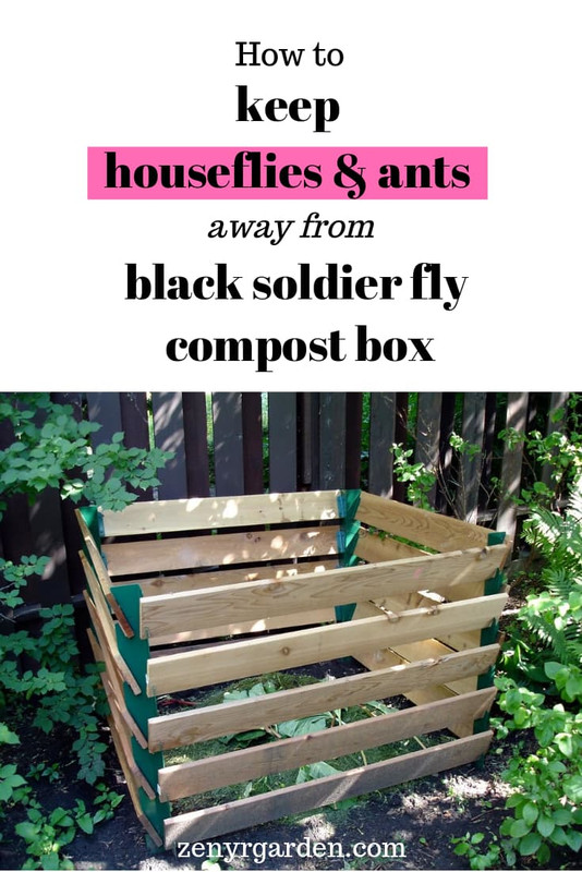 how-to-keep-houseflies-ants-away-from-black-soldier-fly-compost-box-pin.jpg