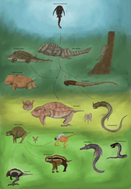 c6dca7a97a6b58a565e3547d7c4ec283