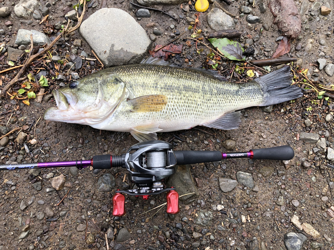 1E7C9A0C-6472-4CAA-A429-5B820B69AB6C