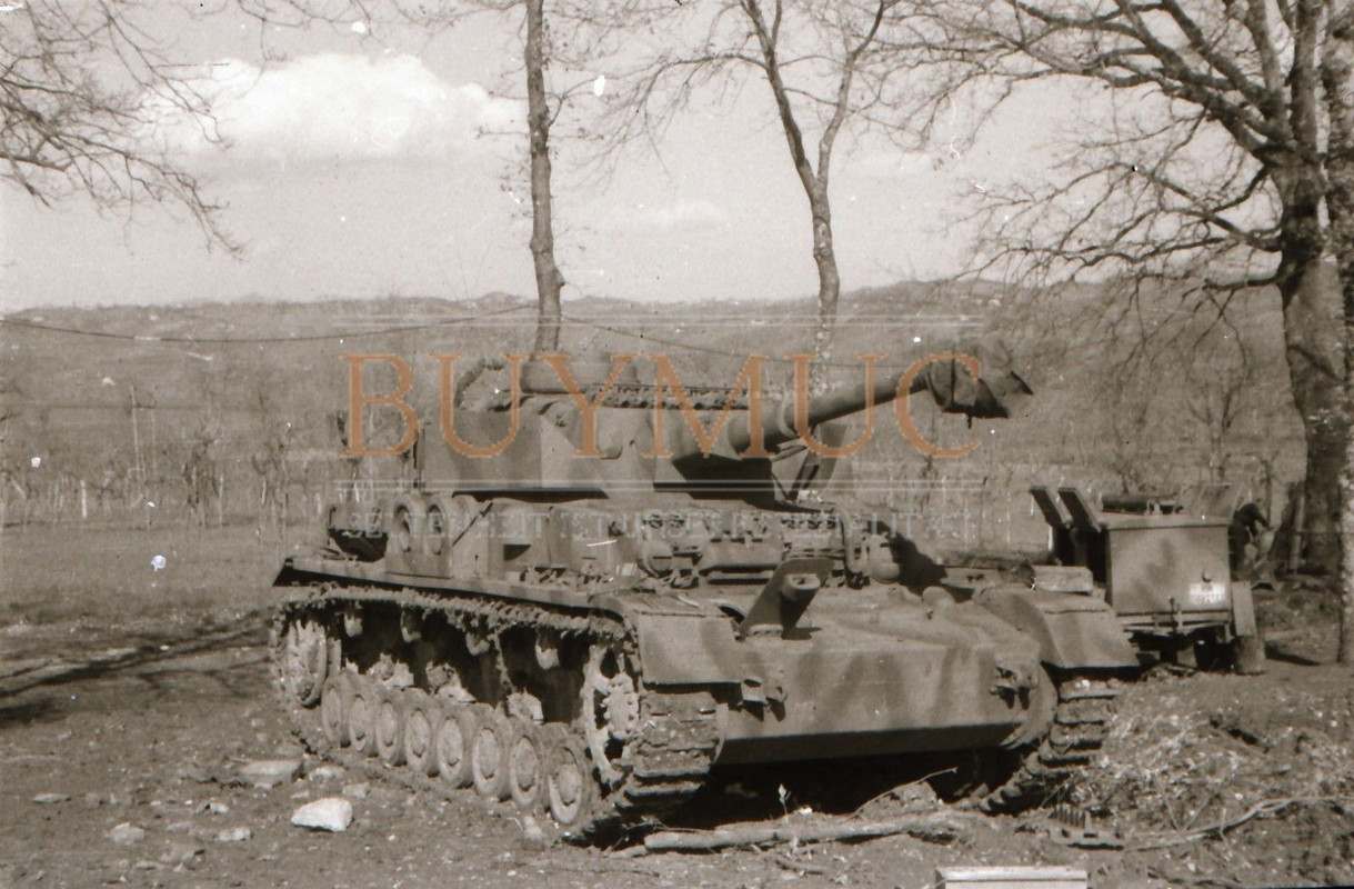 Schwerer Panzer Panzer-Abteilung 115 Italien Südfront