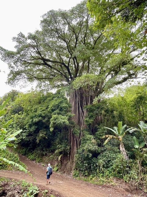 [Linked Image from i.postimg.cc]