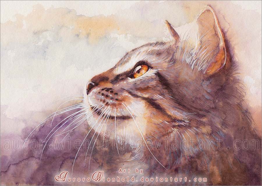 17-blazing-sun-by-aurorawienhold-d71q2sp