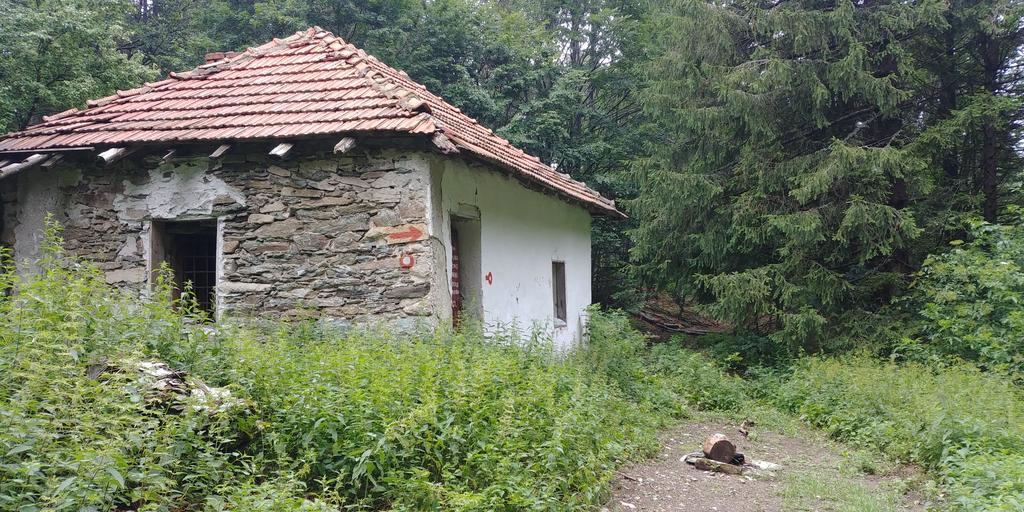 Slika