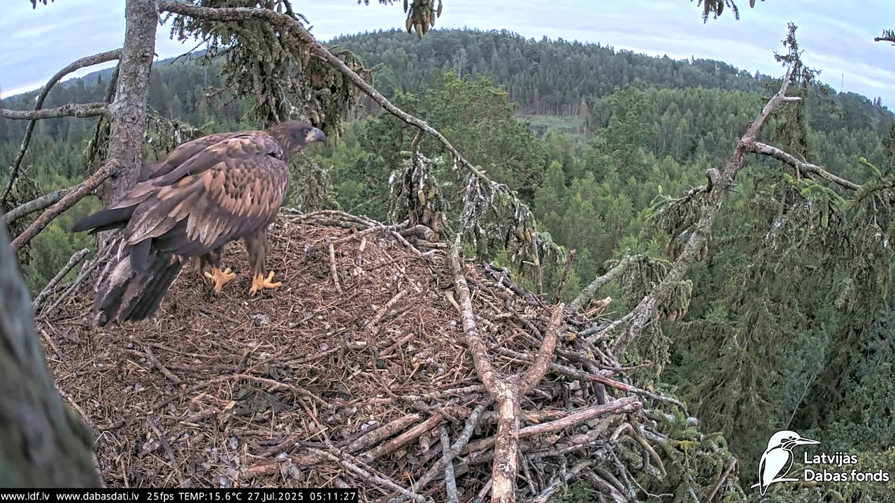 vlcsnap-2025-07-27-04h45m16s173