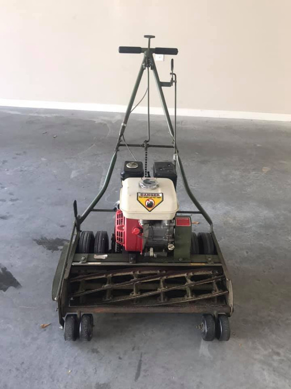 51041802_10156039742868372_9218380623431860224_n