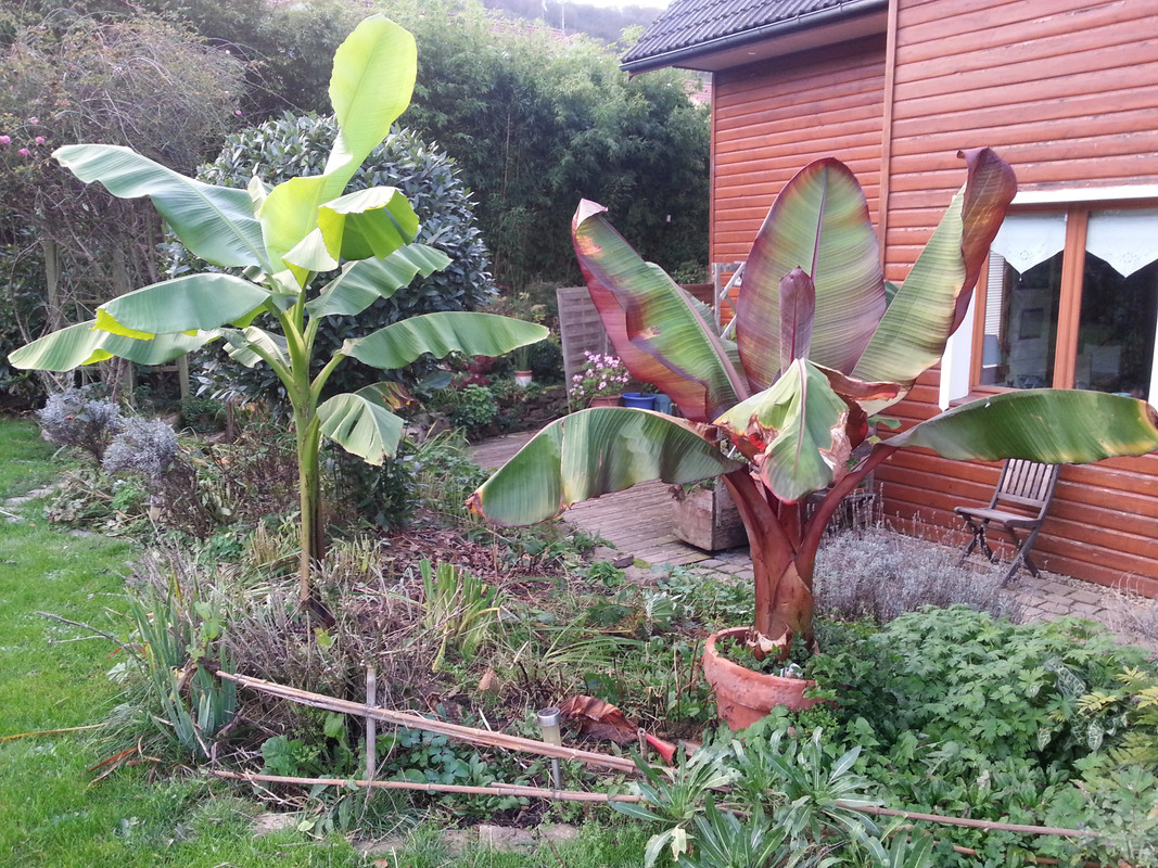 Copie de 20171021_181248(1)