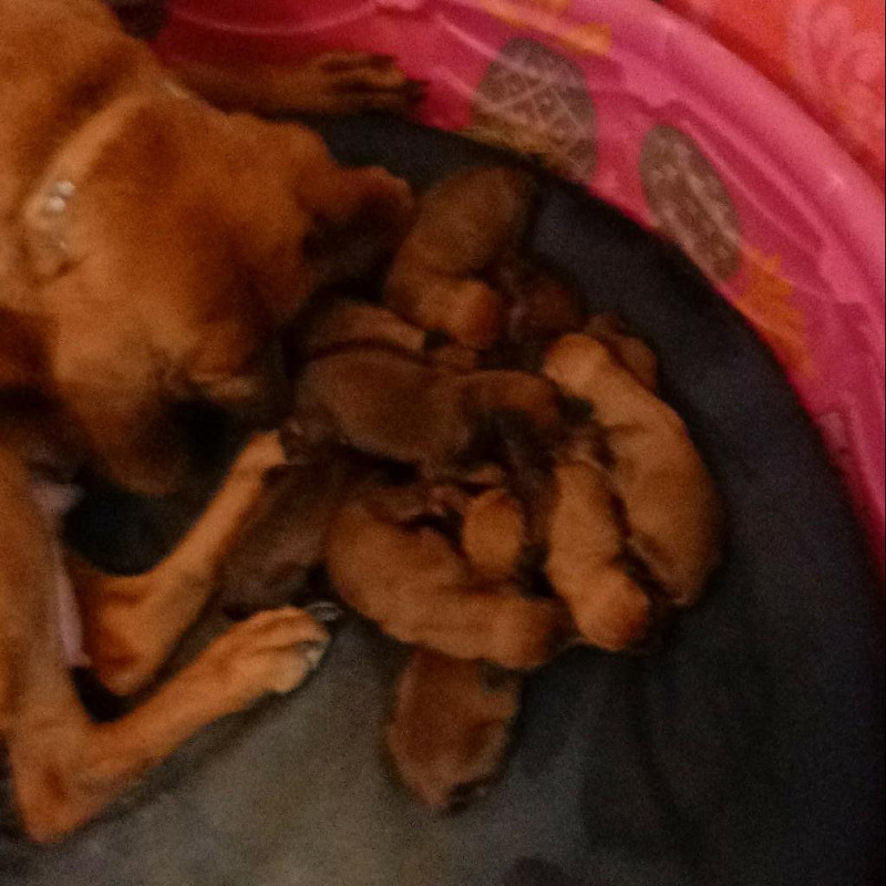 4595A05D-B9F3-41C4-82FE-A2610C7DB662