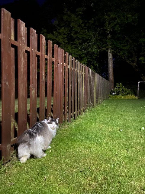 DF36-ECE8-5-F94-4-D60-95-E7-21356856294-