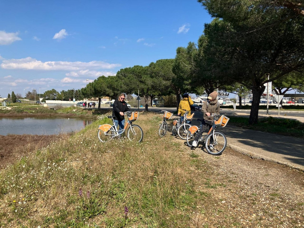 WhatsApp Image 2025-03-16 at 21.51.20 (3)