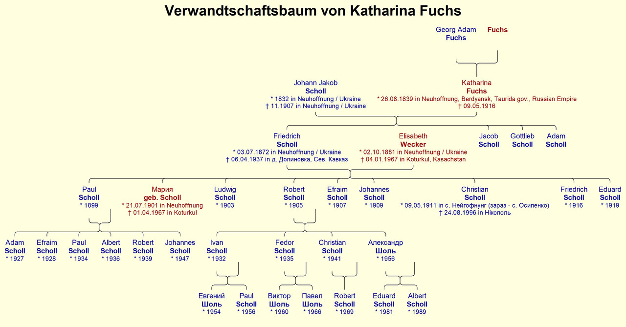 Fuchs Katharina