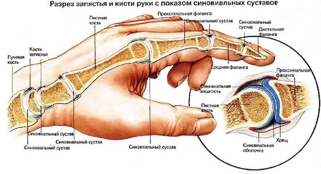 [Изображение: photo-2026-09-12-07-13-49.jpg]