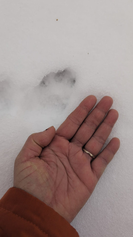 Whats App Image 2026 01 08 at 10 54 47