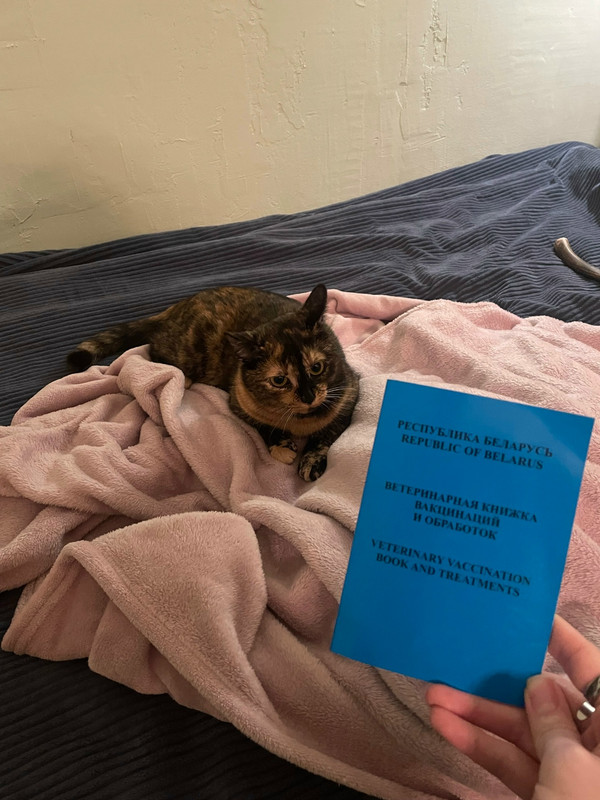 y2n Ta Ku GZJTYb DМайя