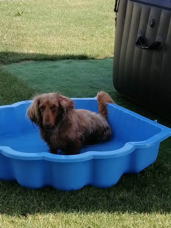 [Image: IMG-20240802-164905.jpg]