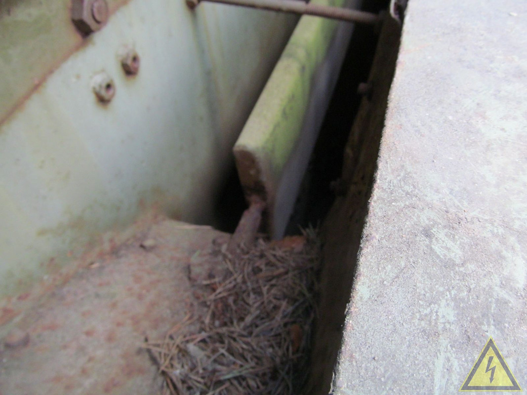IMG 3986 — Postimages
