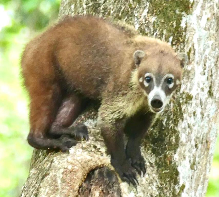 F9EFED51-55C7-4CFC-826D-5AFC2828050D