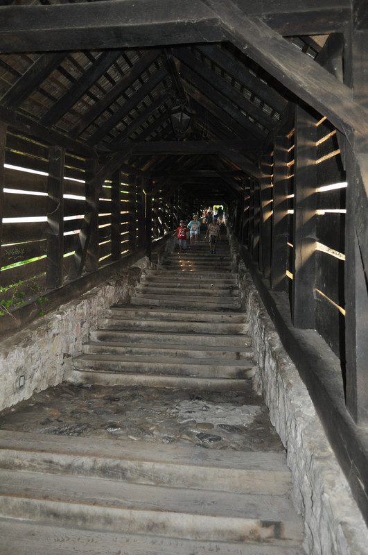 [Obrazek: DSC-3998.jpg]
