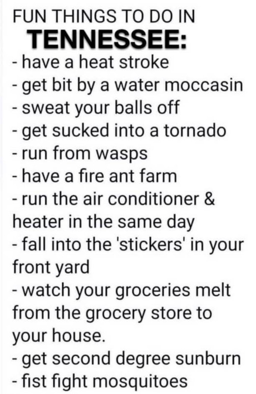 71C3E6EC-302F-4CE5-B7E7-274AEF090279