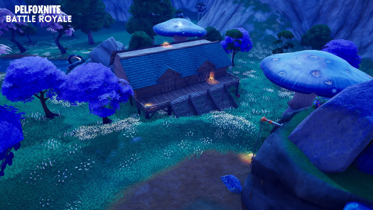 Image large sur desktop