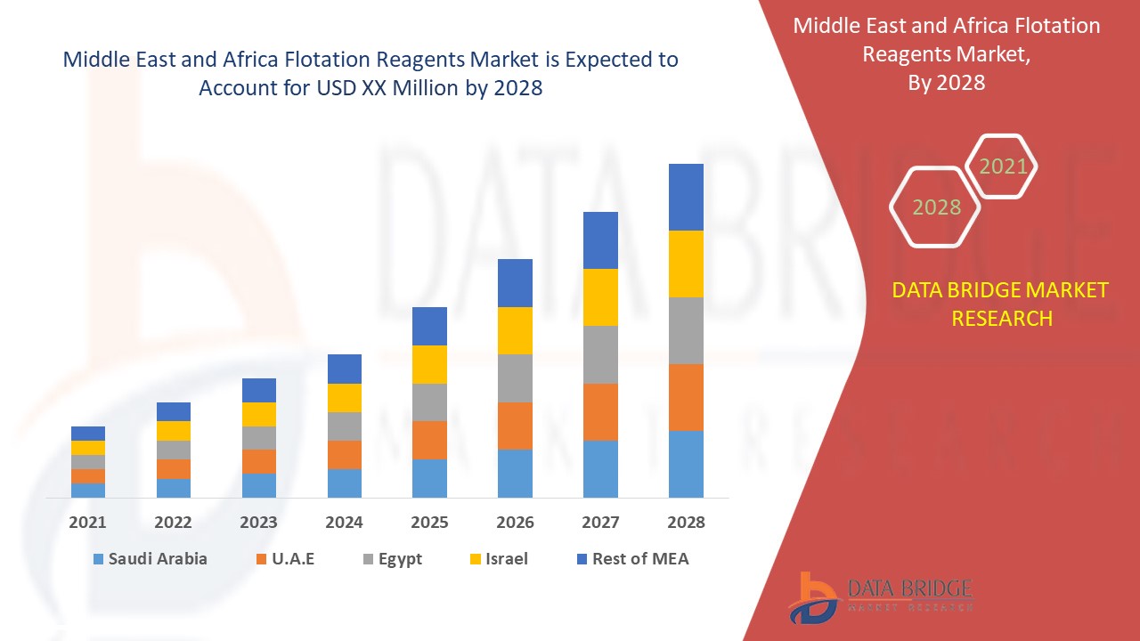 Middle East and Africa Flotation Reagents Market