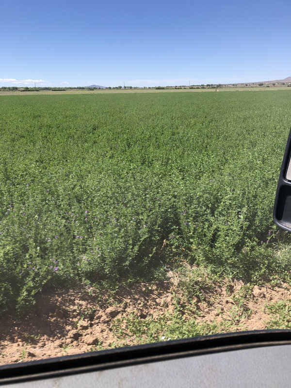 0B4FA7BE-D8EA-4217-80C5-87259651887A