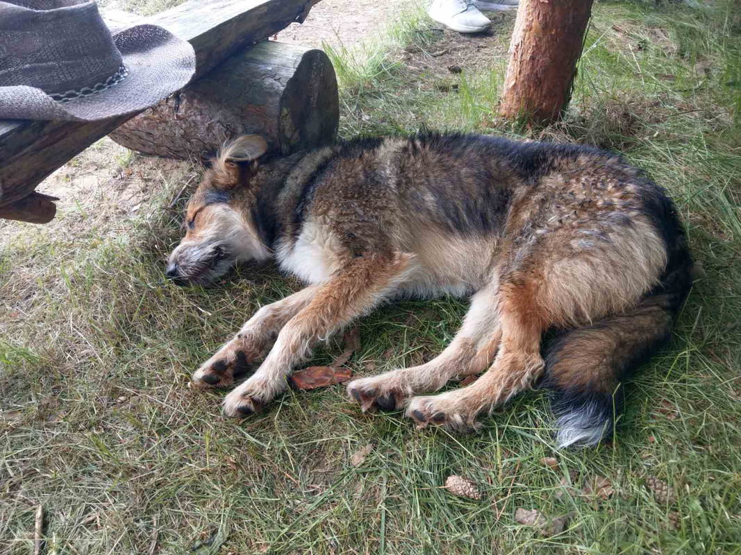 изображение_viber_2020-07-09_21-09-17