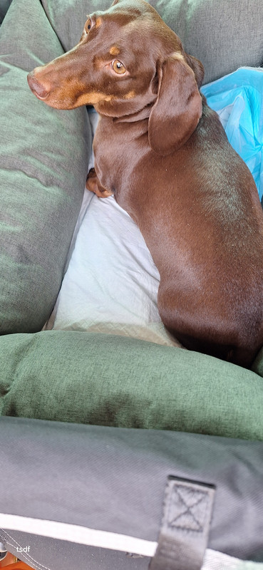 [Image: 20250813-112721.jpg]