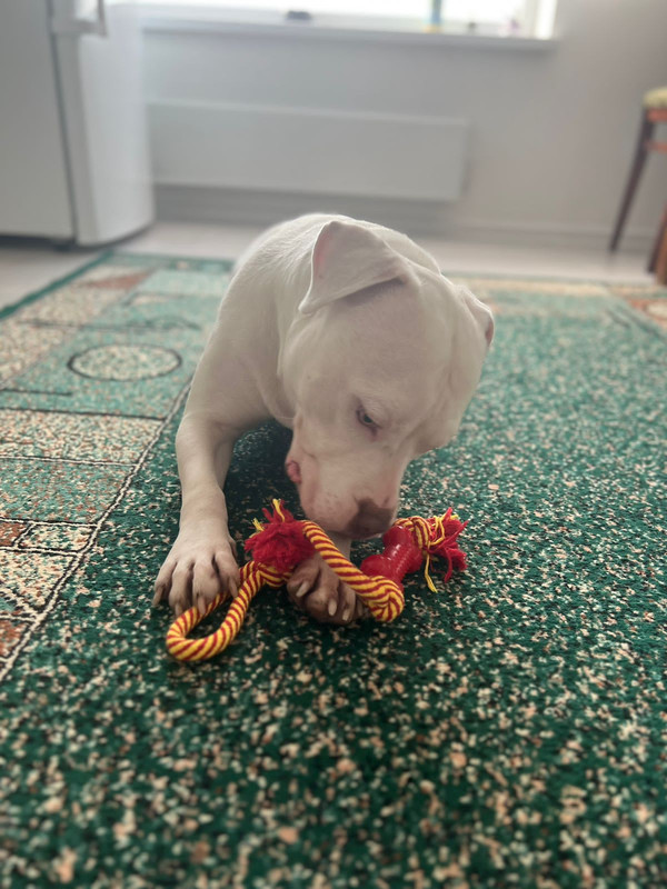 3D350A08-F321-4B36-AD26-1E14847F61FA