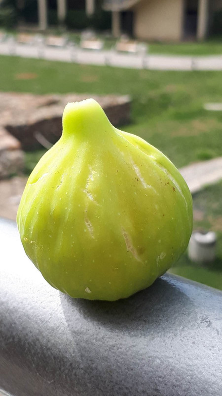 viber_изображение_2025-02-25_17-39-16-365