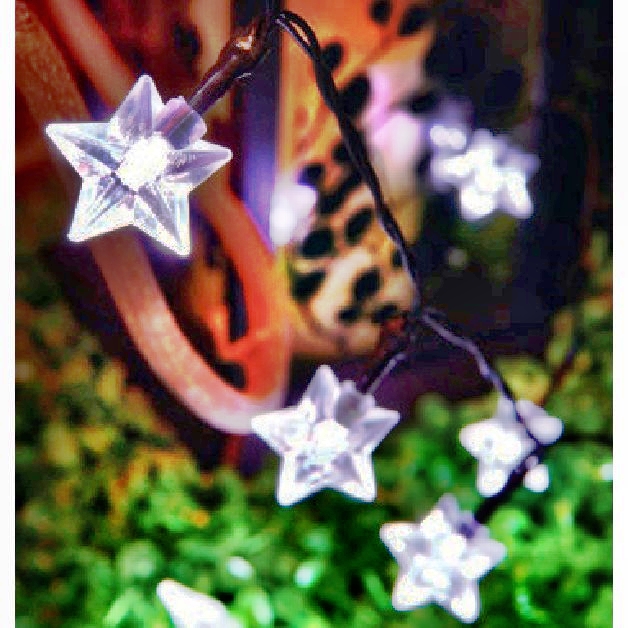 Solar String Light:80148