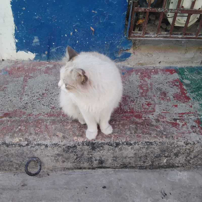 Зимовка 2026, полтора месяца в Колумбии.