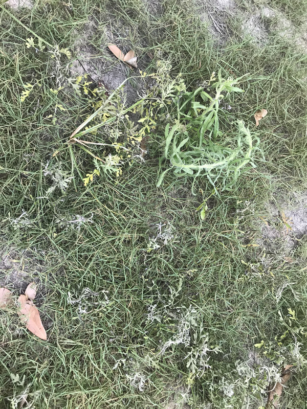 CC219F28-46D9-4FD4-AD8E-4F6A8D837036