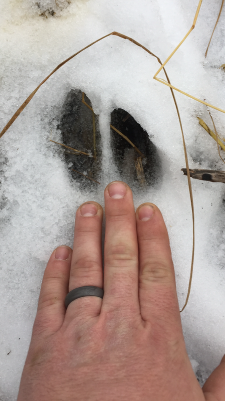 0740A528-1541-498D-8AFC-21B9F8415AC2