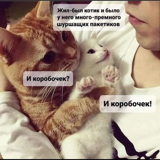 17217189.jpg