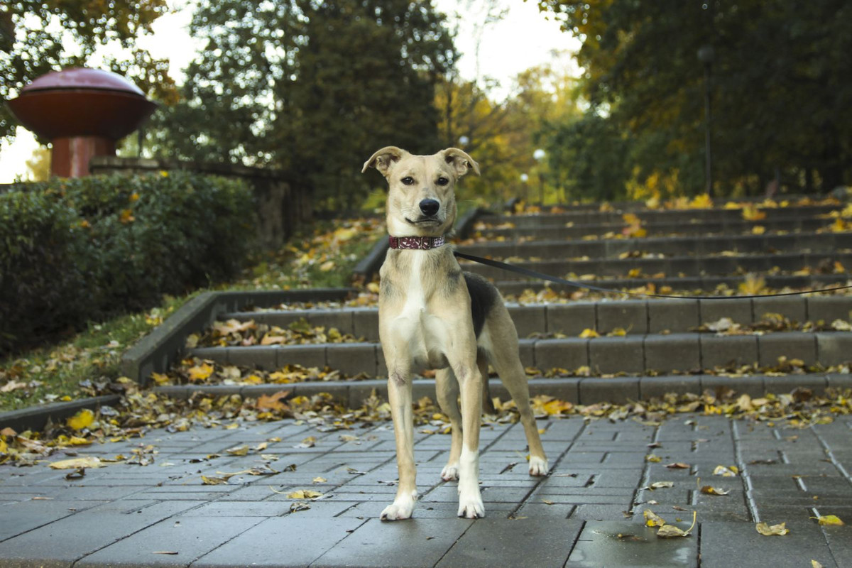 изображение_viber_2022-12-02_13-24-58-367