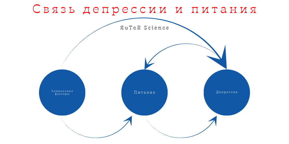 NN-2.png