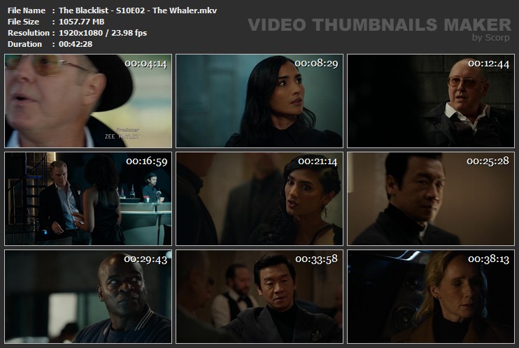 The Blacklist - S10E02 - The Whaler.mkv