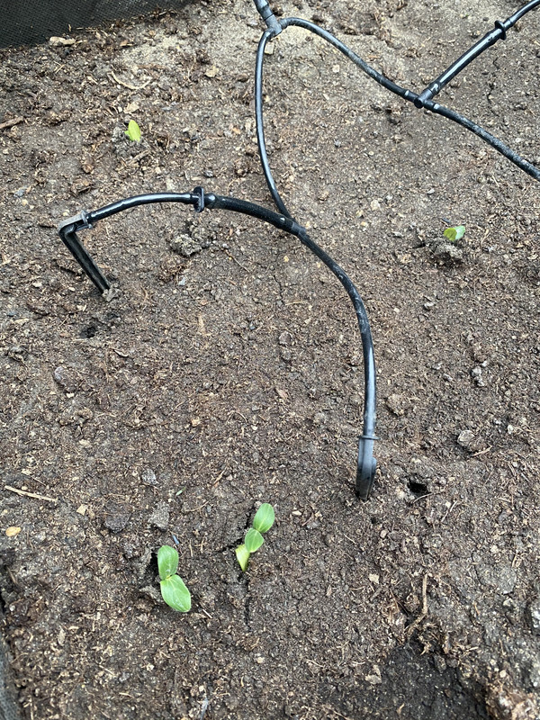 CB3012EC-EEAD-49DA-B4A3-FE2F069B08C5