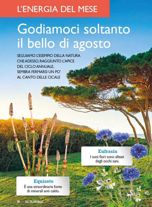 Sal Nat Ago 2024 (1)